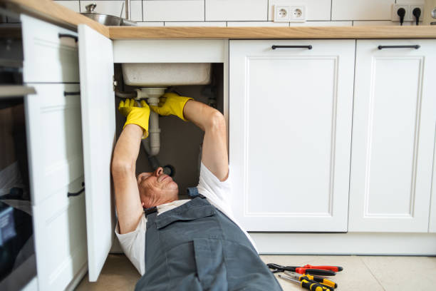 Best Toilet Repair Services  in Vienna, IL