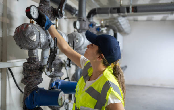 Best Plumbing Repair Near Me  in Vienna, IL