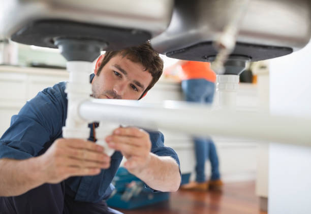 Best Plumbing Services Near Me  in Vienna, IL