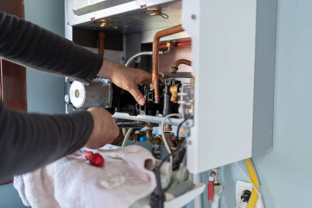 Best Sprinkler Systems  in Vienna, IL