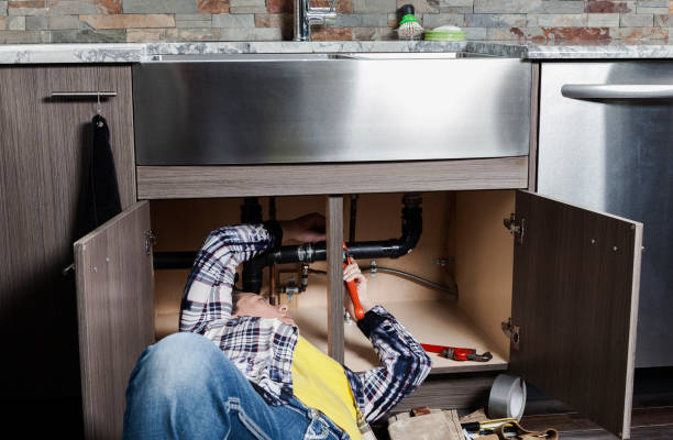 Best Plumbing Services Near Me  in Vienna, IL