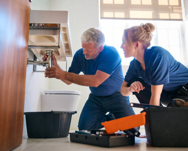 Best 24-Hour Plumber Near Me  in Vienna, IL